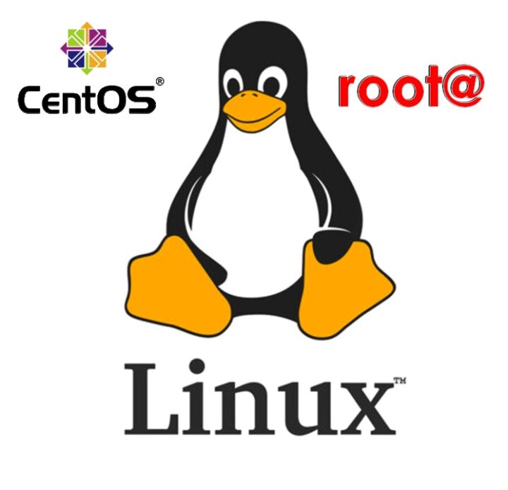 Linux Sunucu Tmp Klasörü Nedir? Nasıl Boşaltılır?
